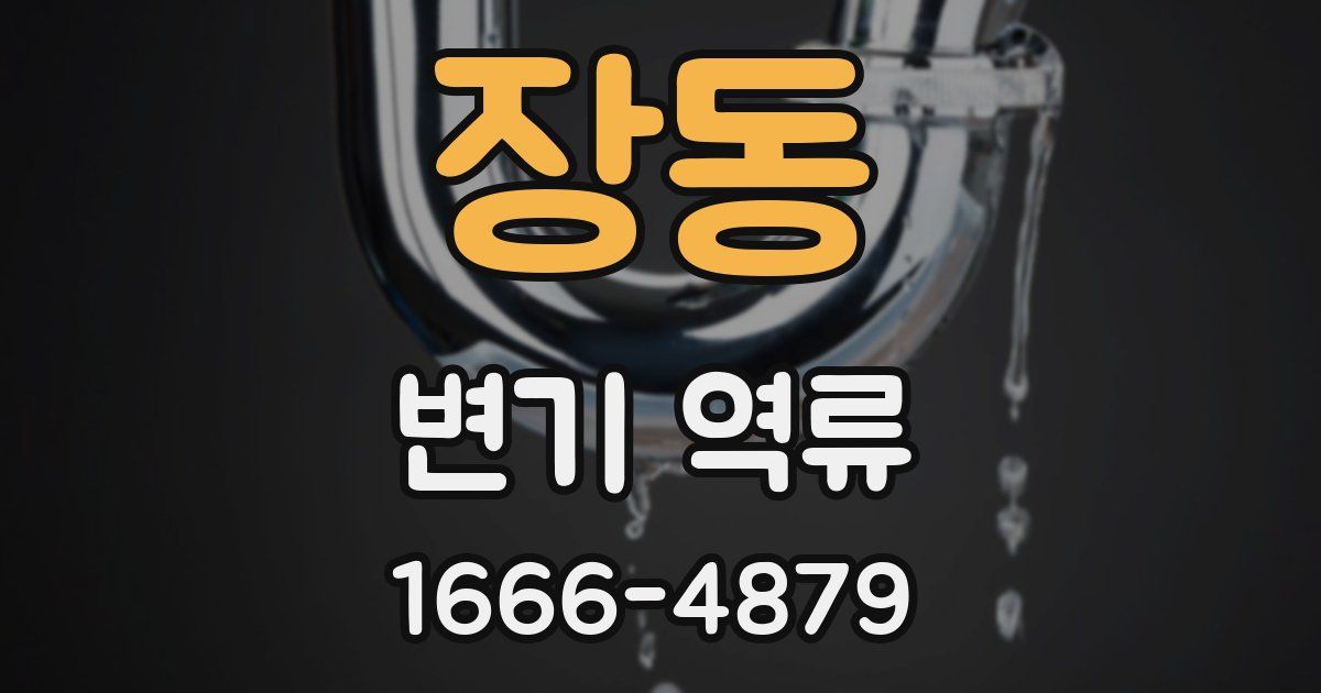 장동 변기 역류