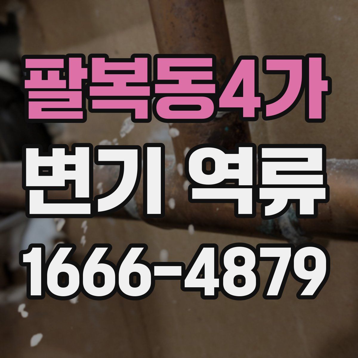 팔복동4가 변기 역류