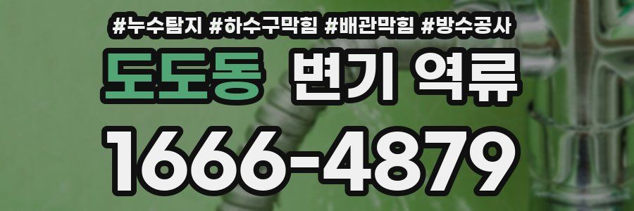 도도동 변기 역류