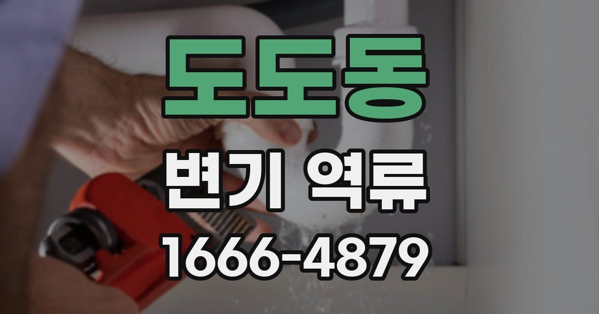 도도동 변기 역류