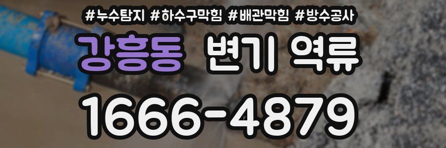 강흥동 변기 역류