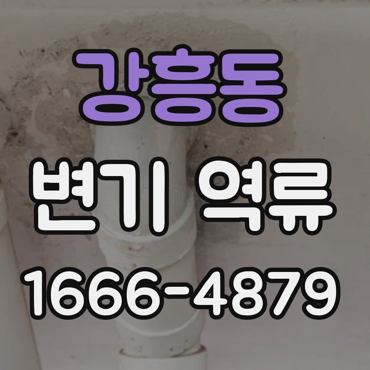 강흥동 변기 역류