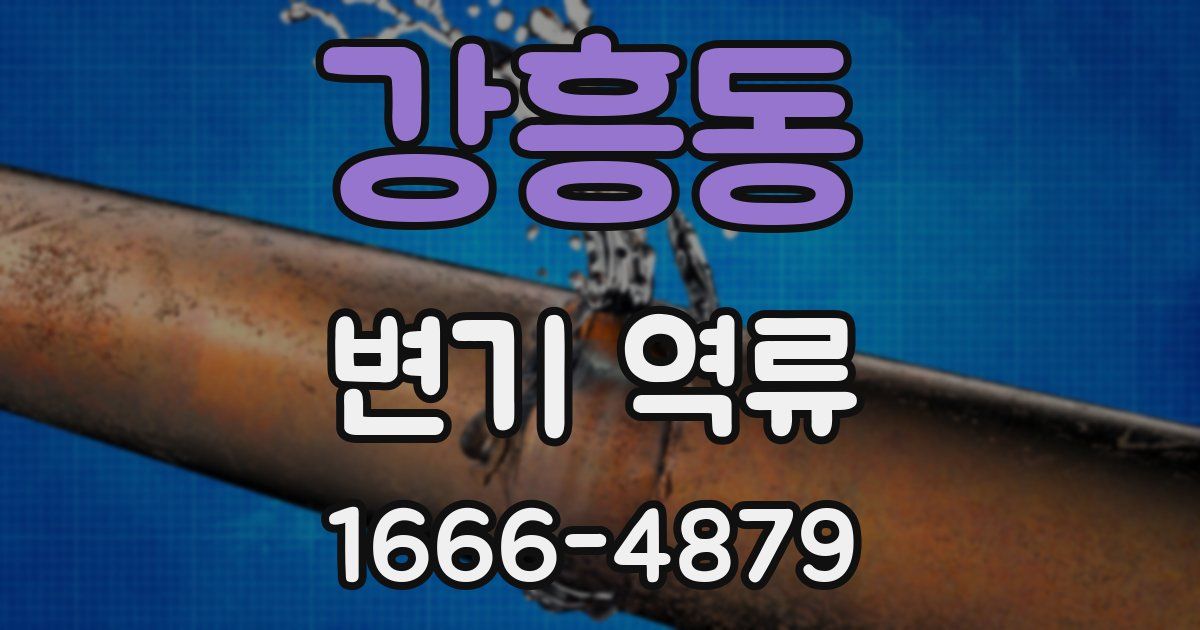 강흥동 변기 역류