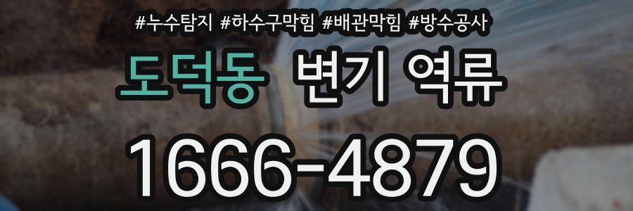 도덕동 변기 역류