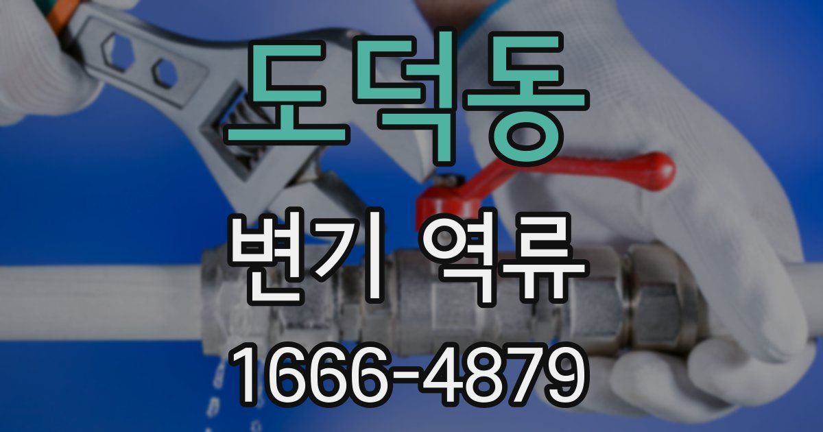 도덕동 변기 역류