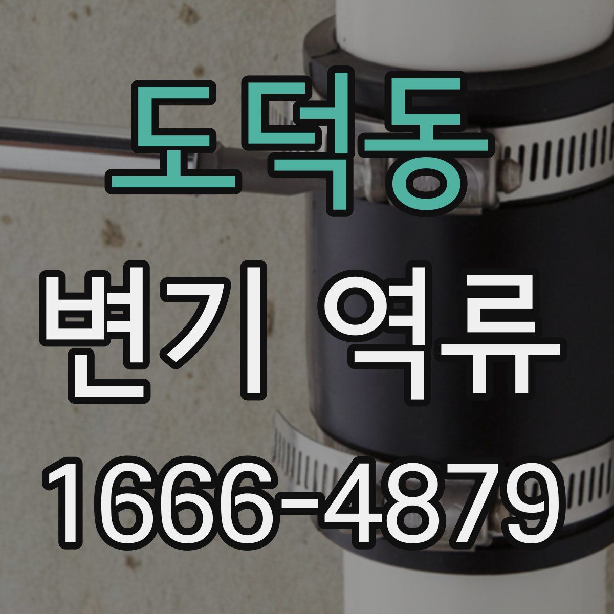 도덕동 변기 역류