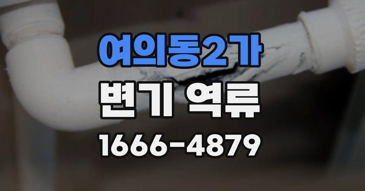 여의동2가 변기 역류