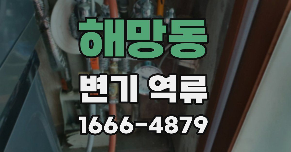 해망동 변기 역류