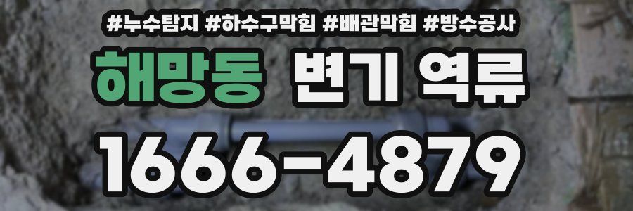 해망동 변기 역류
