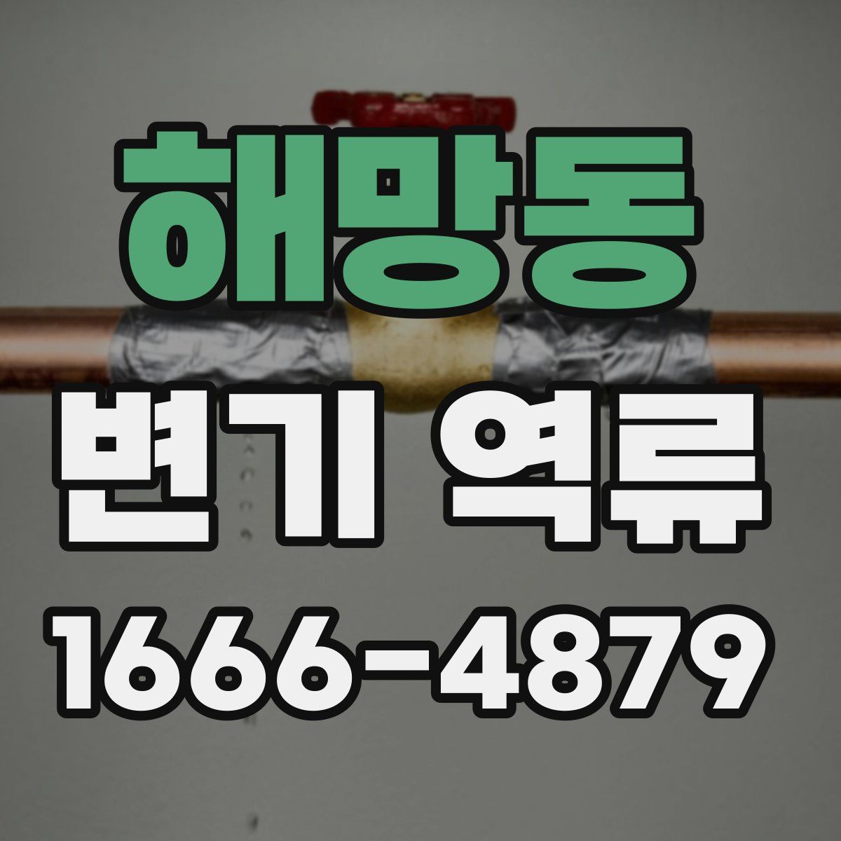 해망동 변기 역류