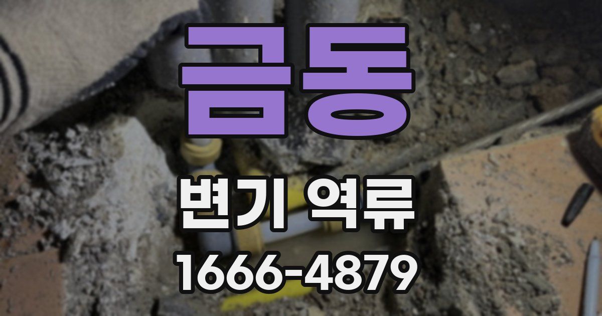 금동 변기 역류