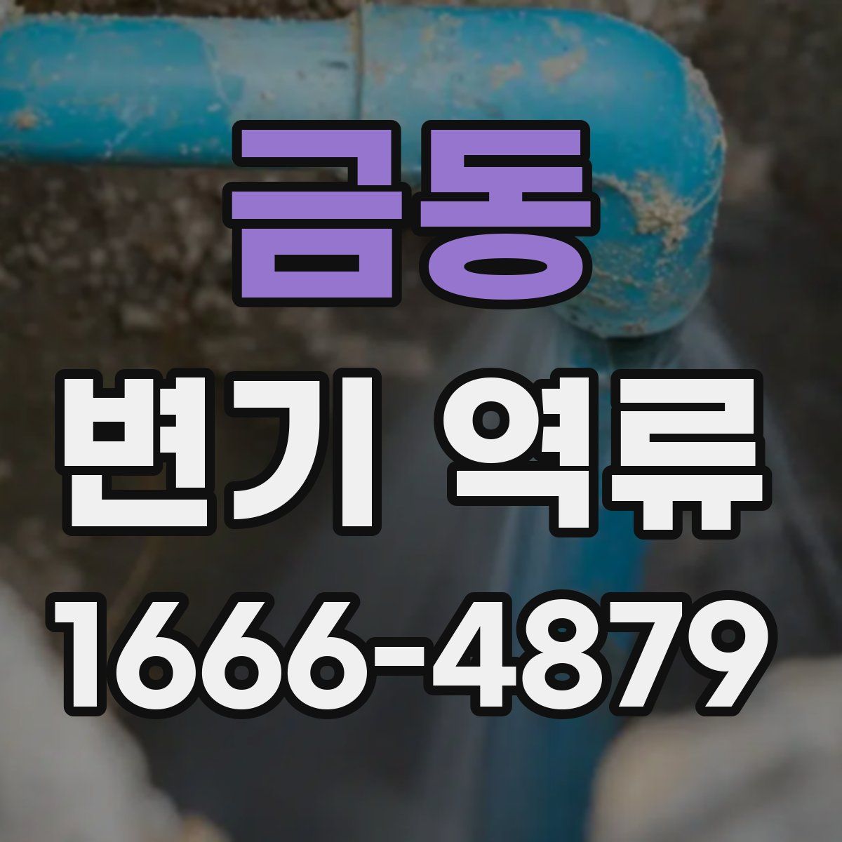 금동 변기 역류