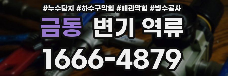 금동 변기 역류