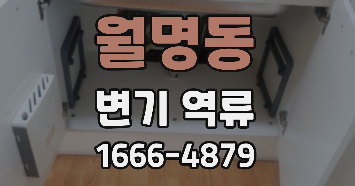 월명동 변기 역류