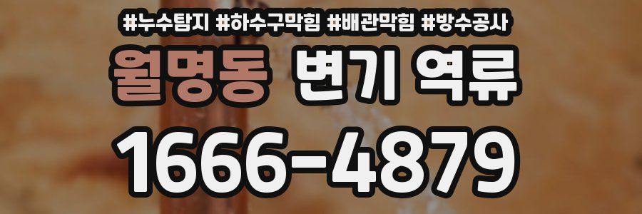 월명동 변기 역류