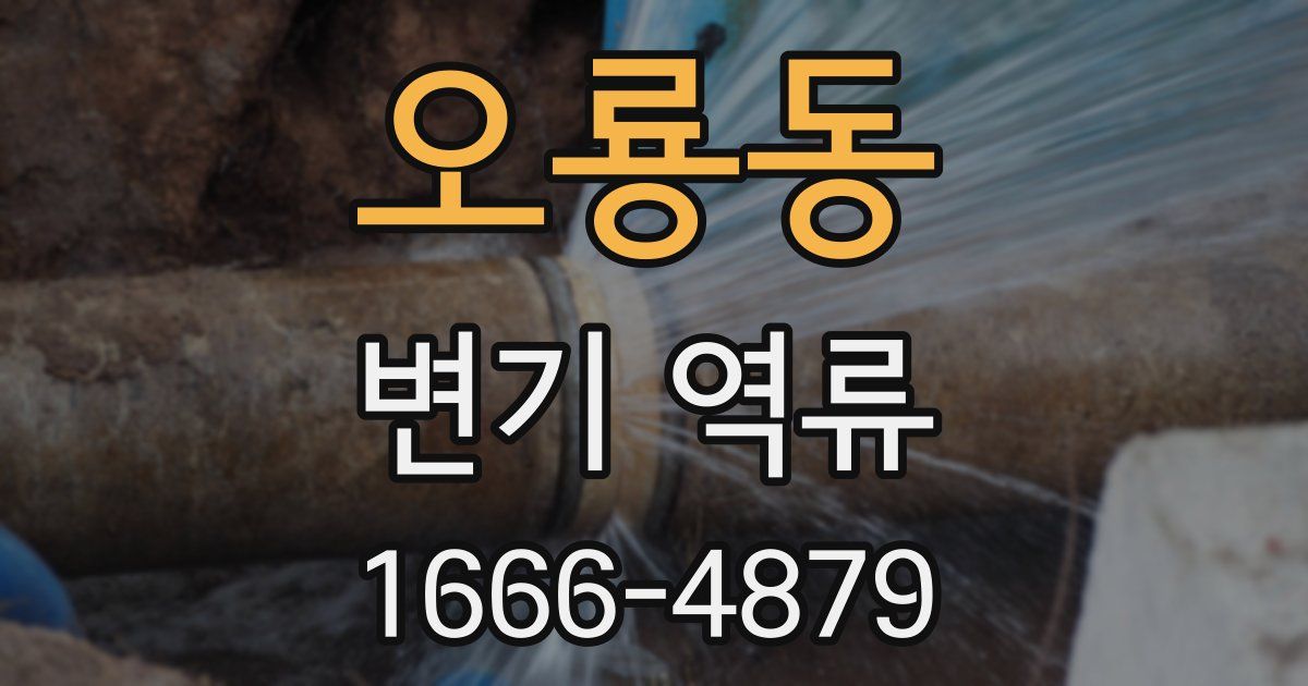 오룡동 변기 역류