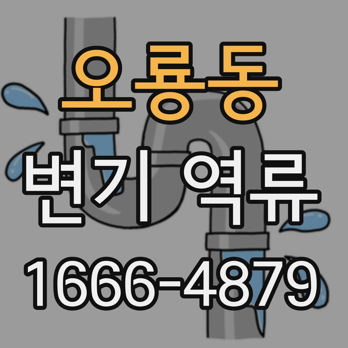 오룡동 변기 역류