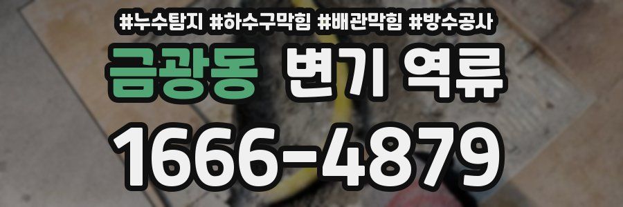 금광동 변기 역류