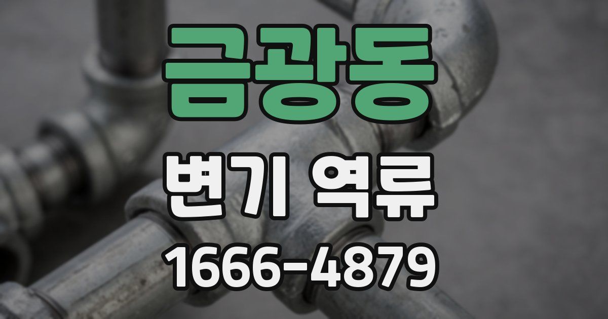 금광동 변기 역류