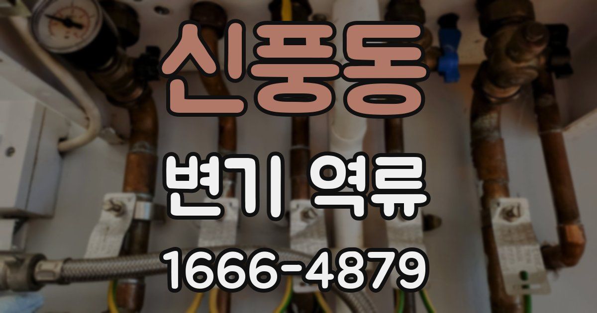 신풍동 변기 역류