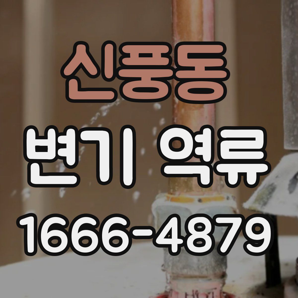 신풍동 변기 역류