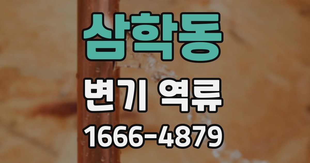 삼학동 변기 역류