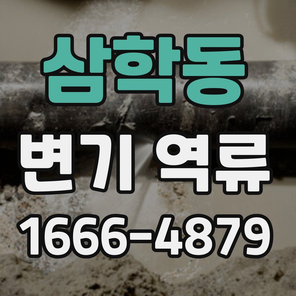 삼학동 변기 역류