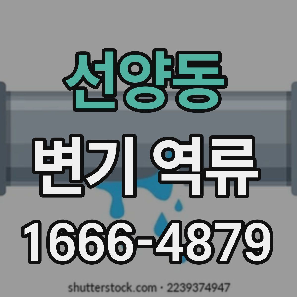 선양동 변기 역류 예방과 관리에 필요한 정보