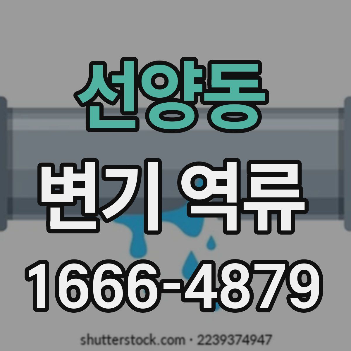 선양동 변기 역류