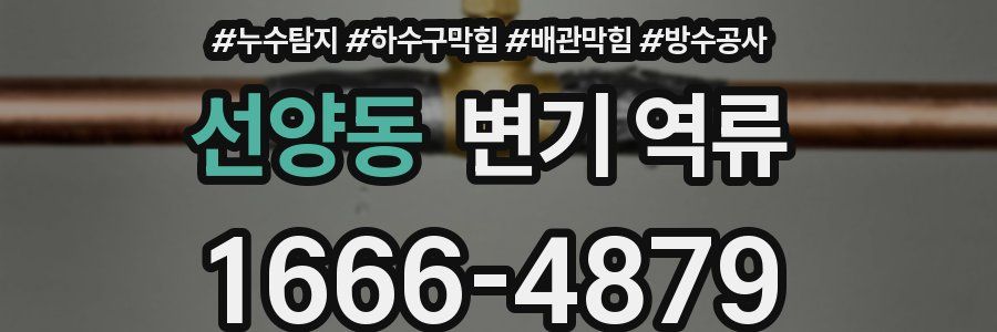 선양동 변기 역류