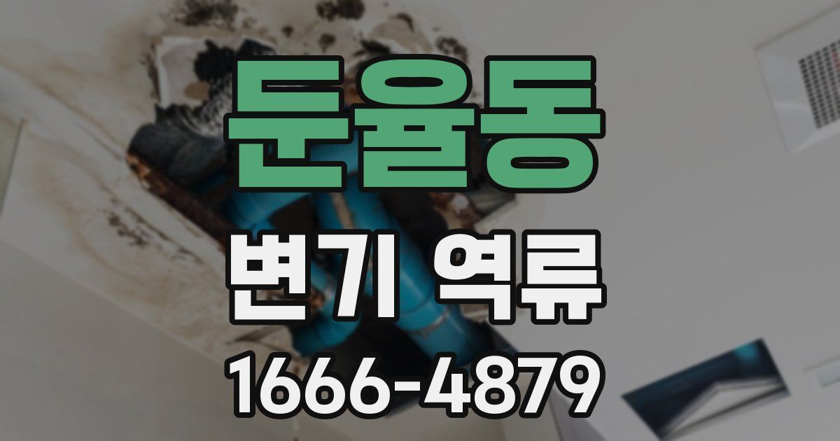 둔율동 변기 역류
