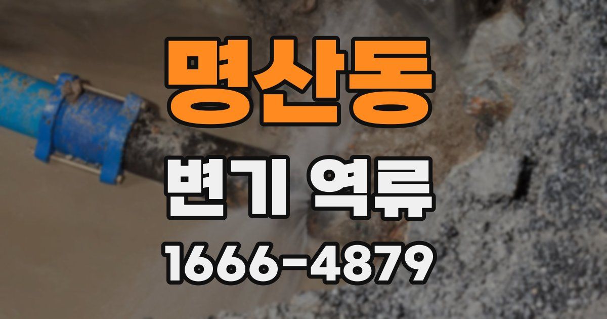 명산동 변기 역류