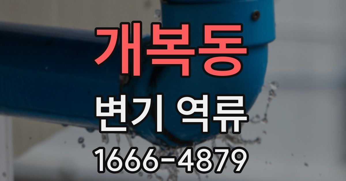 개복동 변기 역류
