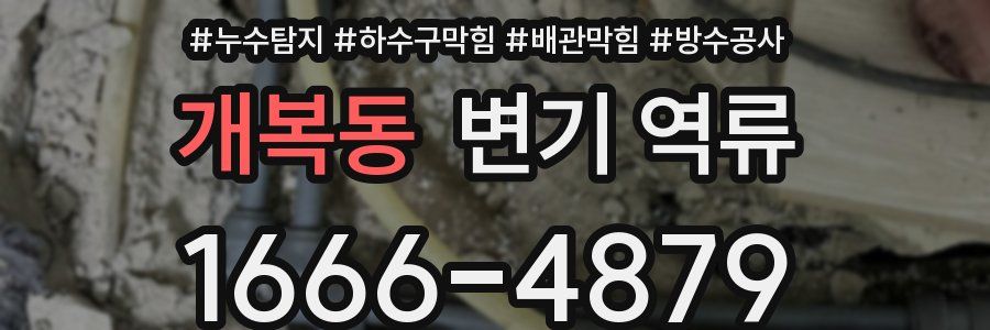 개복동 변기 역류