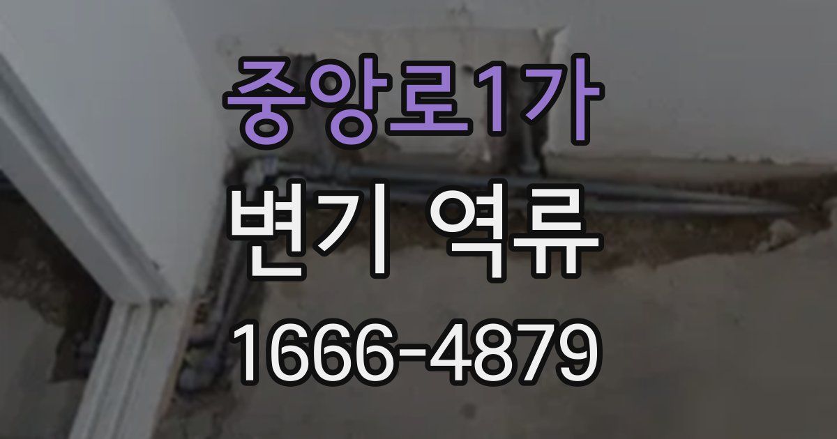 중앙로1가 변기 역류