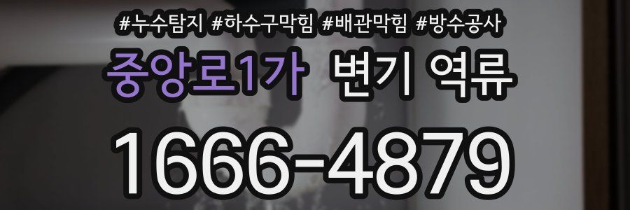 중앙로1가 변기 역류