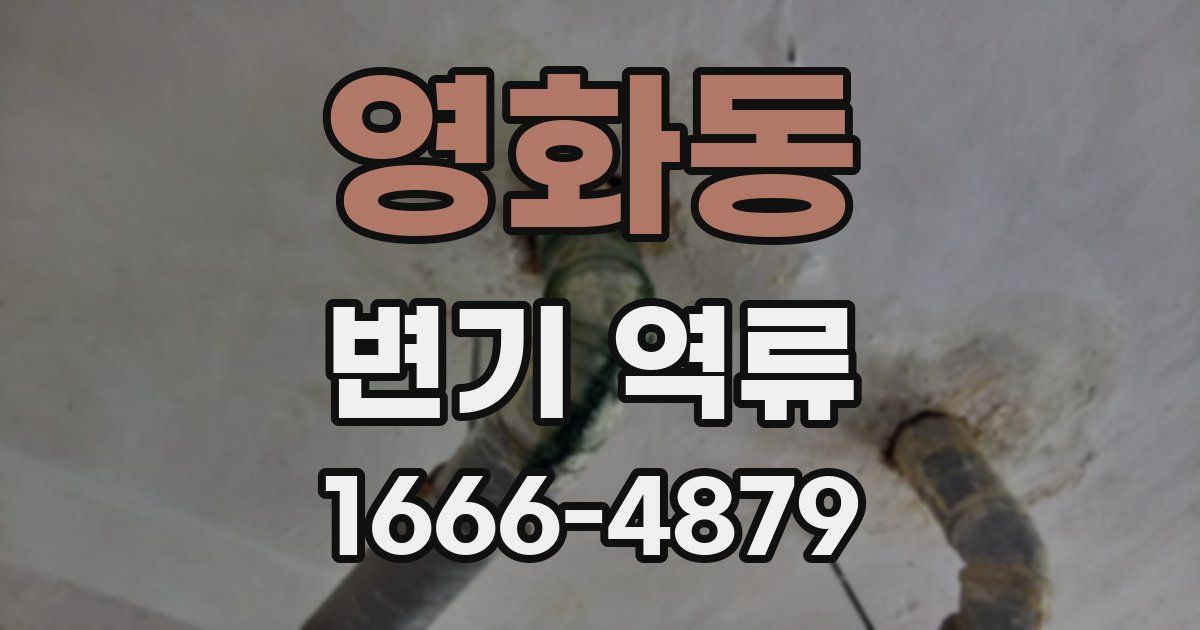 영화동 변기 역류