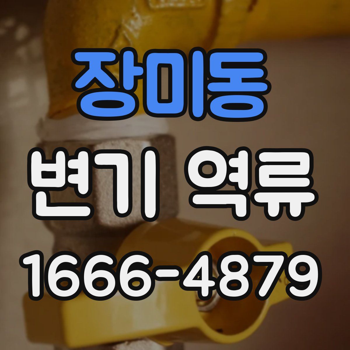 장미동 변기 역류