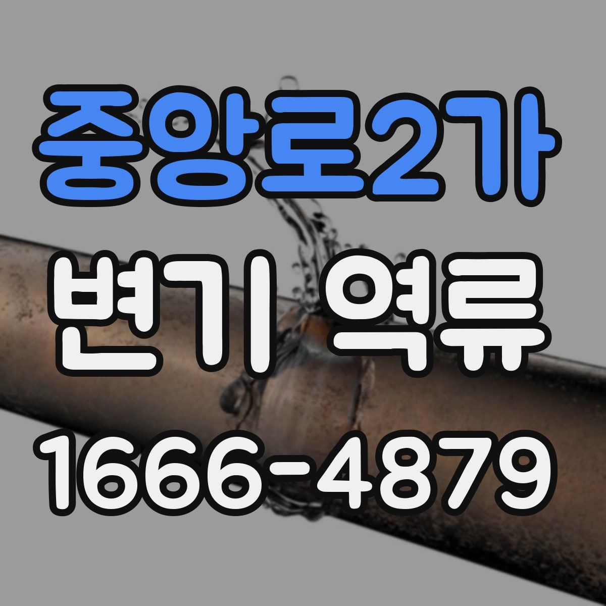 중앙로2가 변기 역류