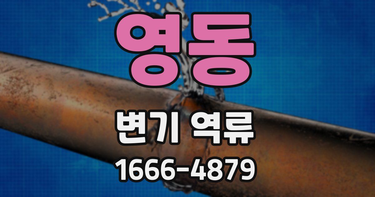 영동 변기 역류