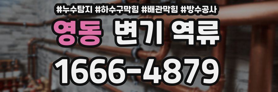 영동 변기 역류
