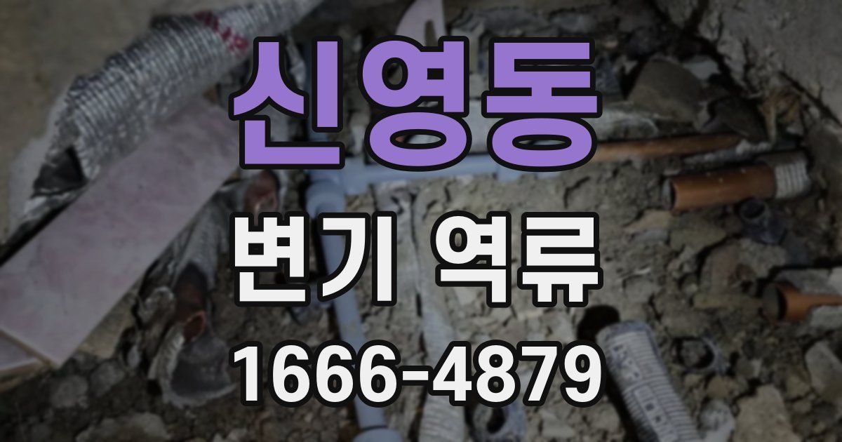 신영동 변기 역류