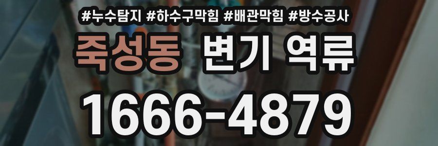 죽성동 변기 역류