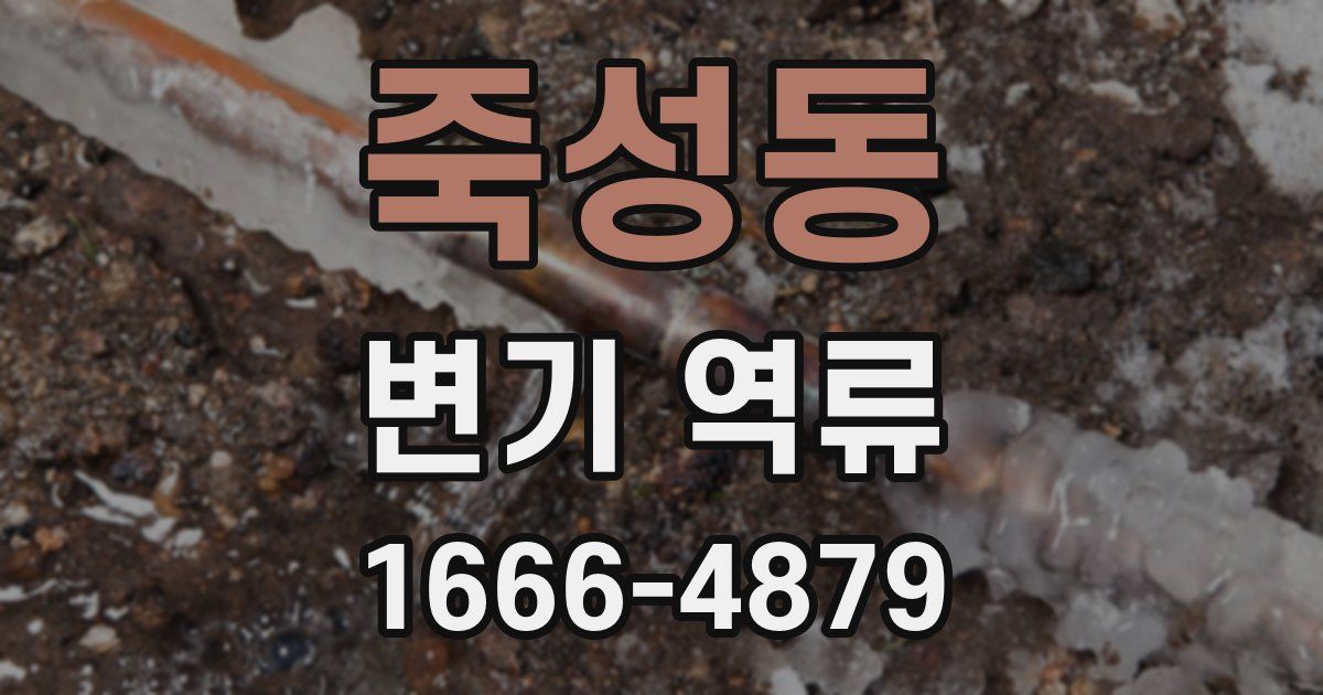 죽성동 변기 역류