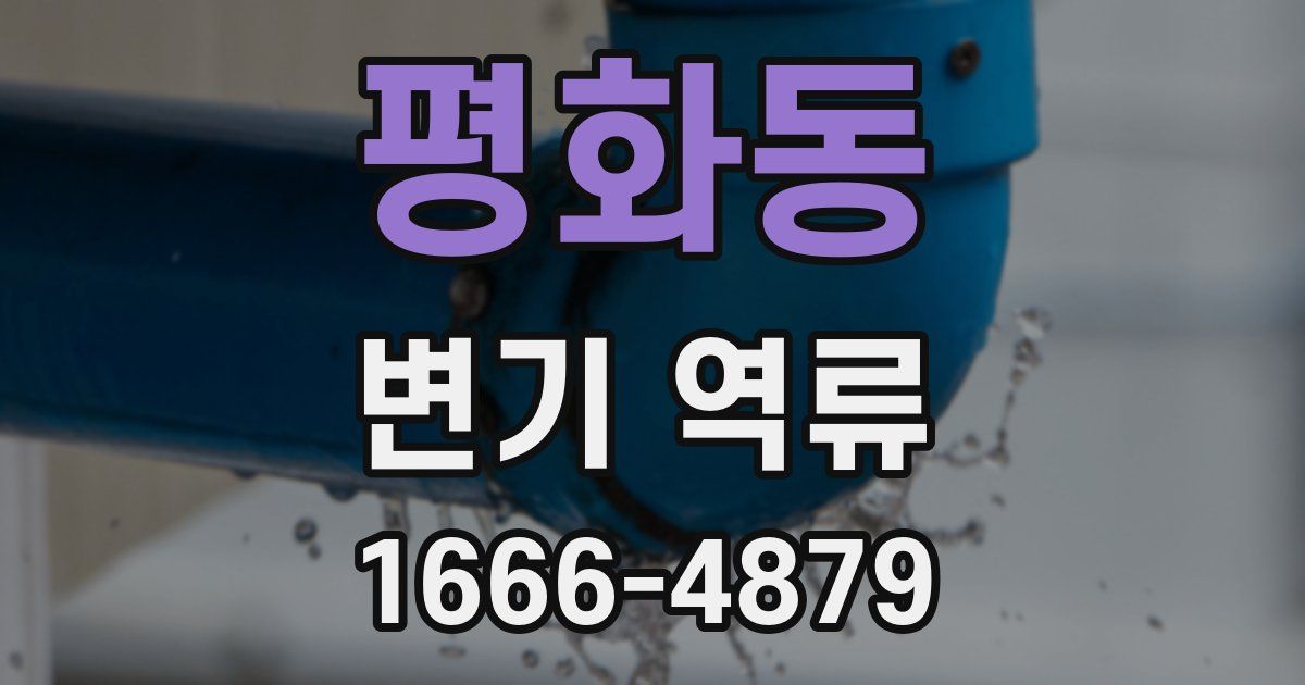 평화동 변기 역류
