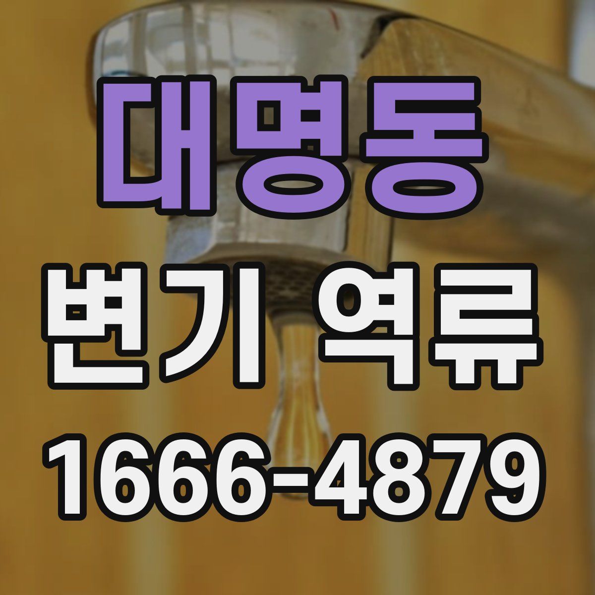 대명동 변기 역류