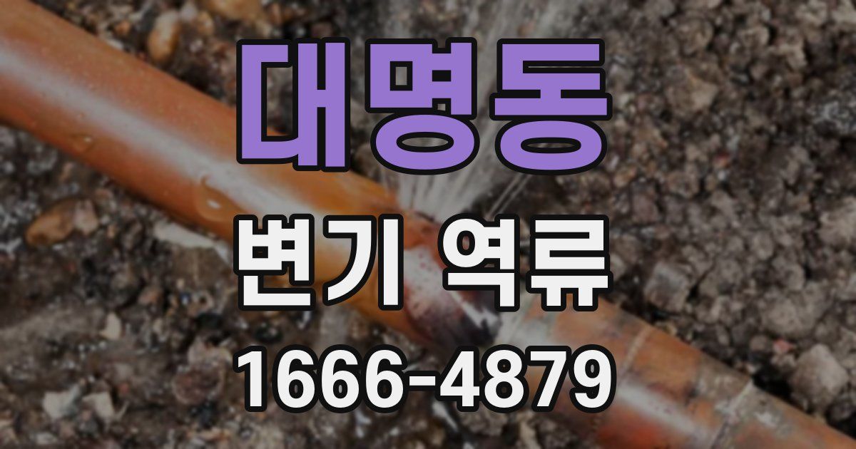 대명동 변기 역류