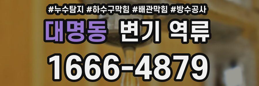 대명동 변기 역류