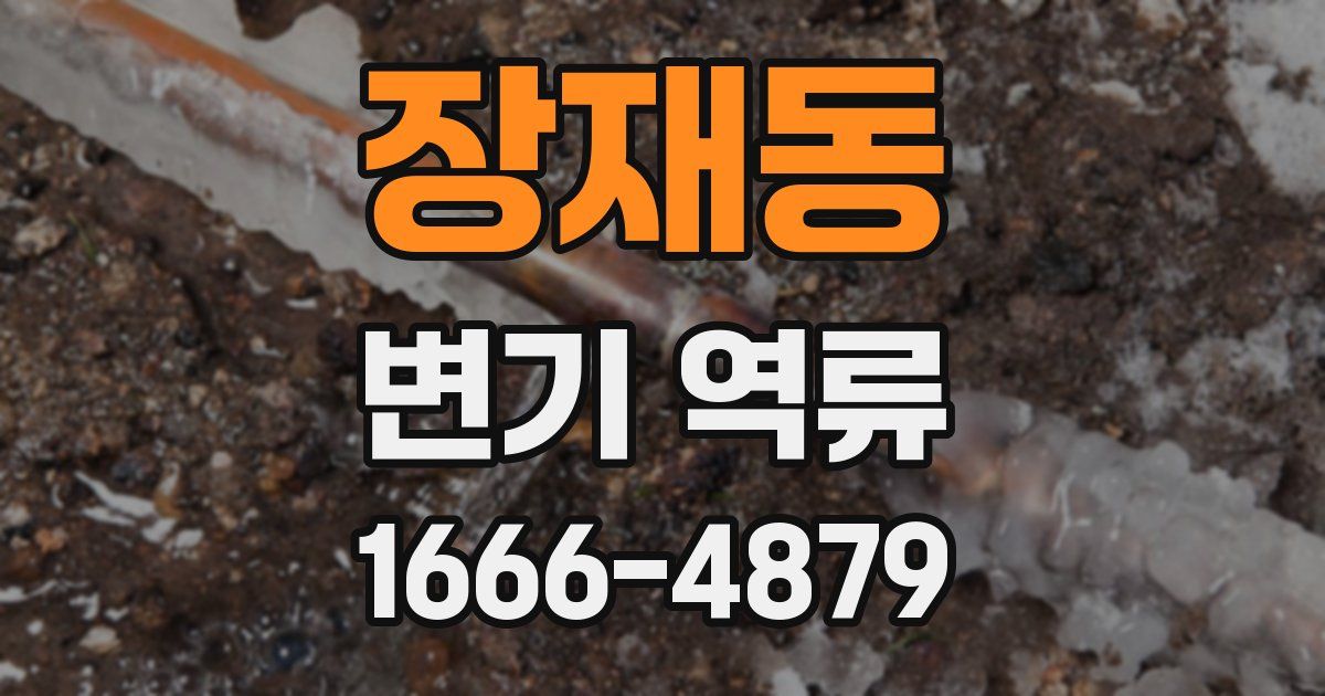 장재동 변기 역류
