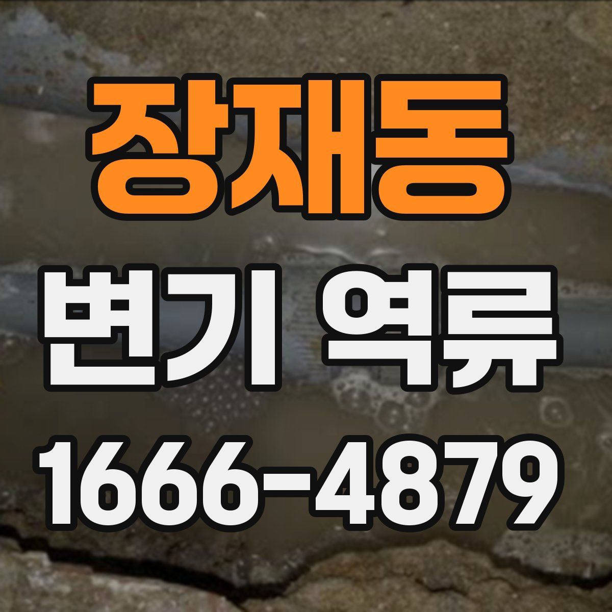 장재동 변기 역류